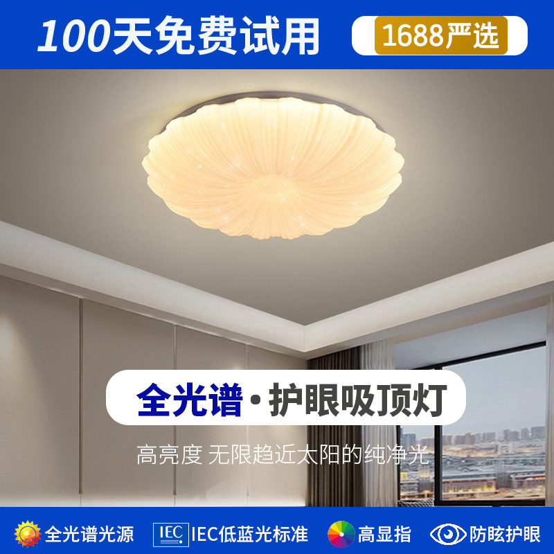 Creative design ceiling light