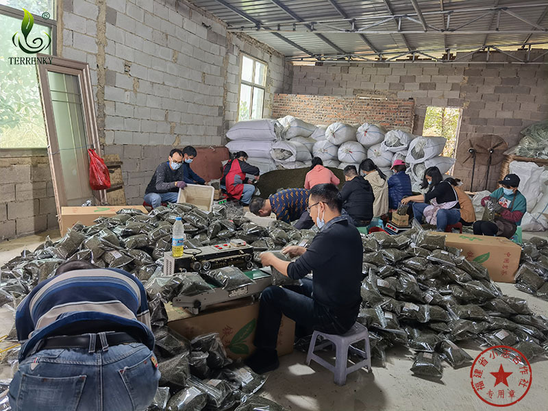 福建省安溪小志茶叶专业合作社