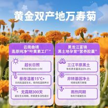 �����~�S����ܛ��������ͯ�����W���������{���o1��1���ƌW���