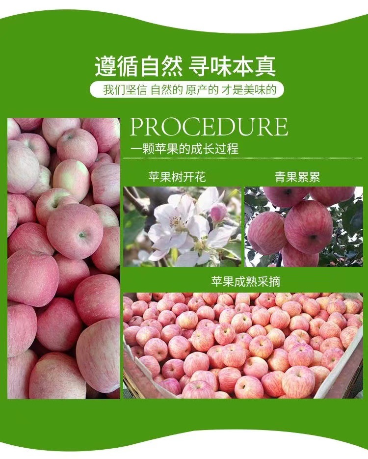 91a73a28091fd355b8a573d061e1b4