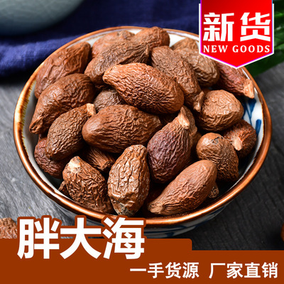 批发供应 新货胖大海茶 批发各种规格散装圆果长果胖大海|ms