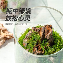 ˮ��ֲ�����Bƿ�͏d����΢���^���B�r����̦����ƿ�쾰����С�[��