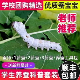 中性笔;替芯、笔芯;卷笔刀削笔器