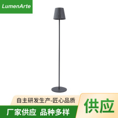 屋外低電圧太陽エネルギーフロアランプ金属充電式装飾ランプ庭の別荘の床の展望灯