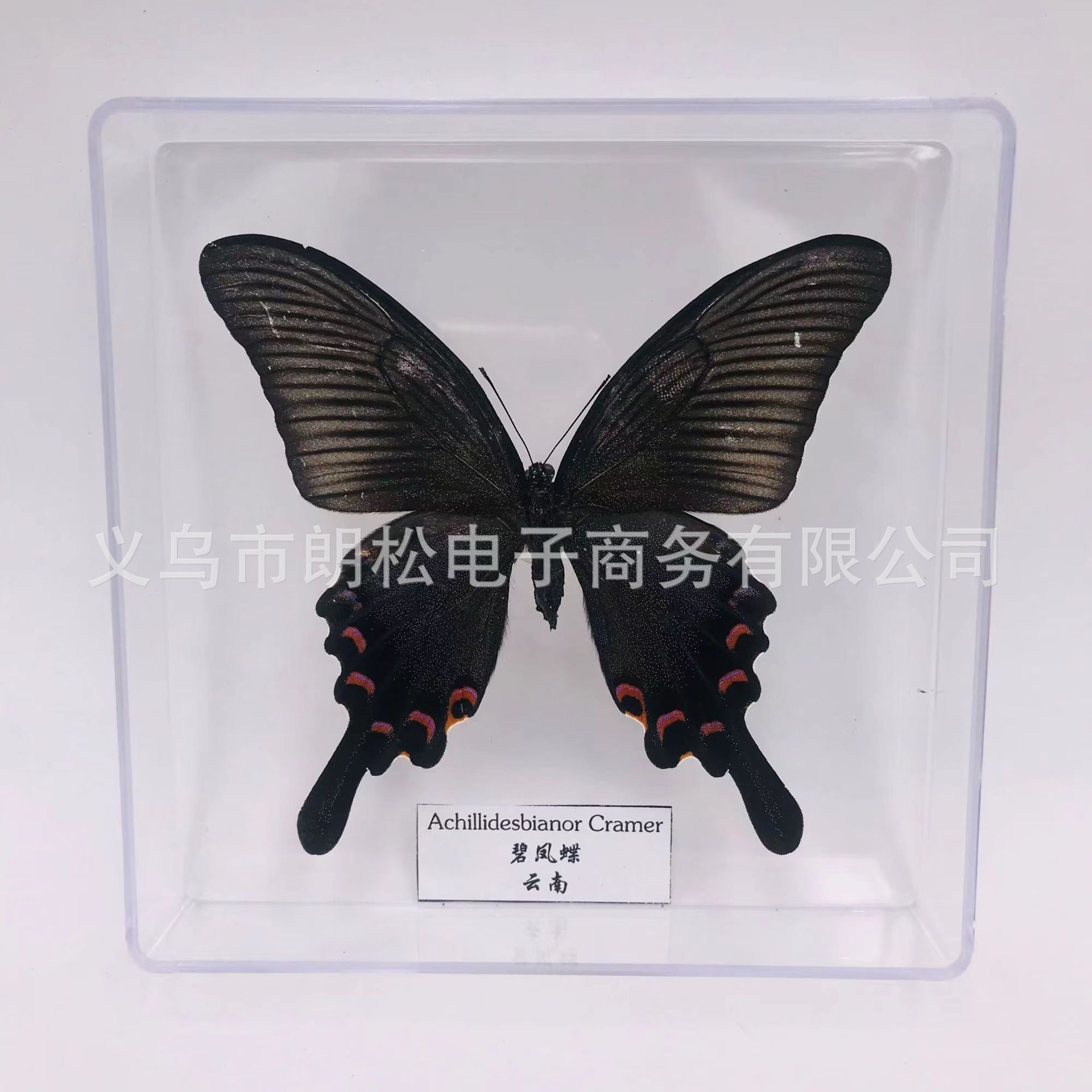 54903efc14da2580beb1747b7eaa3a