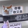文字新手防水幽默车尾贴