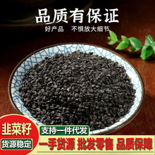 韭菜籽散装新货批发 韭菜籽粉承接大货农产品免费磨粉韭一件代发