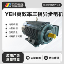 YE2ஐ늙C380VЧܼ~0.55/0.75/1.1/1.5/2.2/3/4kW