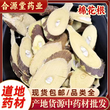 棉花根中药材 棉花根片 棉花杆 草棉根皮 密根 土黄芪 棉花根粉