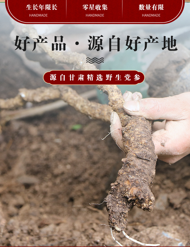 现货野生党参500g克干甘肃纹党叁片当参段配当归黄芪泡水正速发-阿里巴巴