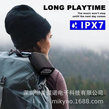 S31{ˮyʽTWSɴ忨UPFMspeaker