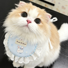 �˄P�ٶ��������ˮ��؈�����������������һ�����l�ļ���ͨ����