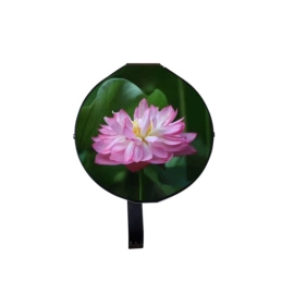 LCD显示屏;电子模块;OLED显示器件