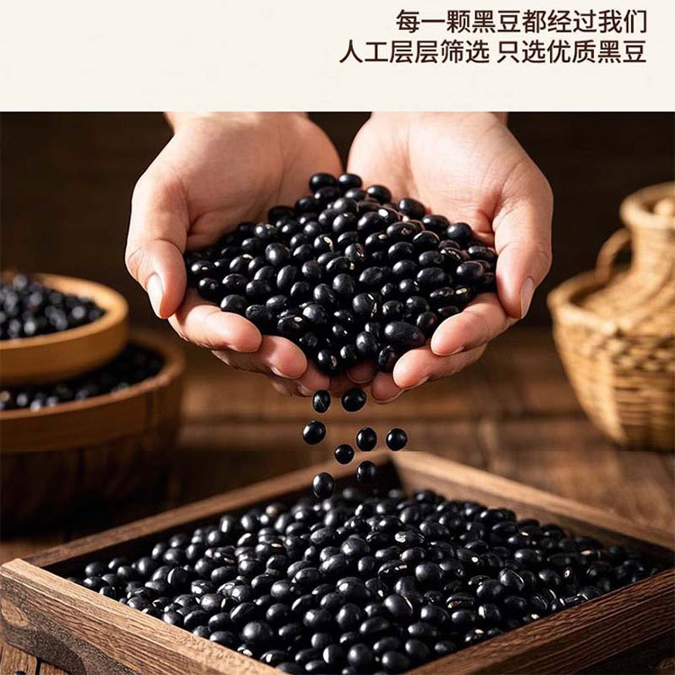 Dang Gui Black Soybeans (Angelica sinensis & Glycine max) — Ready-to-Eat Herbal Snack, 100g specifications