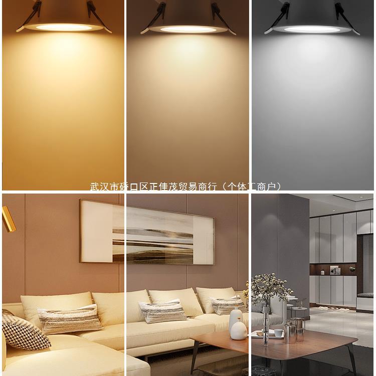 유럽 스펙트럼 LED DOWNLIGHT 임베디드 가정용 천장 램프 스포트라이트 거실 황소 눈 배럴 램프 오프닝 75MM 구멍 램프 구멍 램프