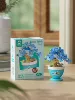 7461 Begonia Yicui 215 capsules [color box]