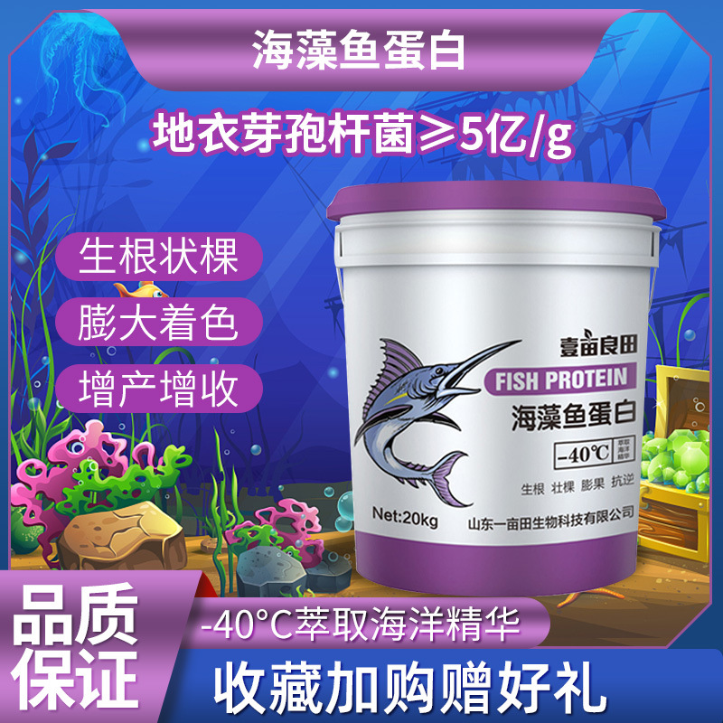 厂家批发海藻水溶肥有机肥氨基酸叶面肥 农用氨基酸水溶肥鱼蛋白