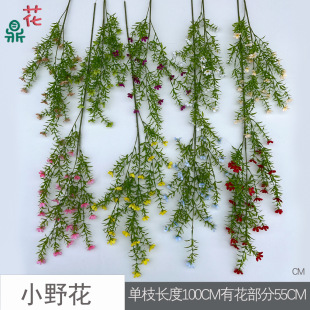 С�黨 СҰ�� ��Y���������ò廨���� ����d�͏d·���bٻ�