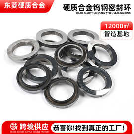 厂家硬质合金密封圈毛坯加工非标钨钢制品密封环硬质合金配件