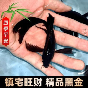 ���N�ڽ��\����ˮ�^�p�~���~�B�ͻ��ԁ�ˮ���B�~��С�~��ˮ�~