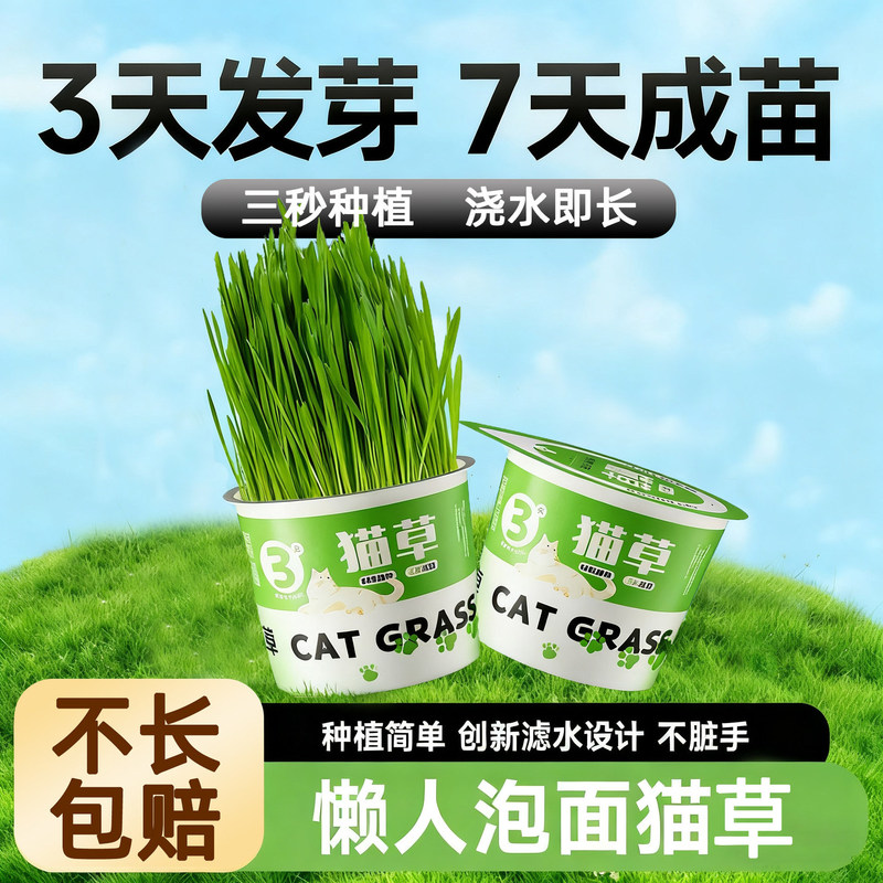 Lazy Cat Grass Instant Noodles Soilless Potted Plant Hydroponic Pot Hairball Tablets Cat Hair Removal Strips Seeds Water-Grown Mint Balls Canned