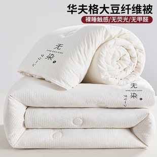 Soy Fiber Quilt, Winter Quilt, Thickeneded Warm Quilt, Core Mother-In-Law Quilt, Winter Dormitory Single Spring & Fall Quilt, Super Soft