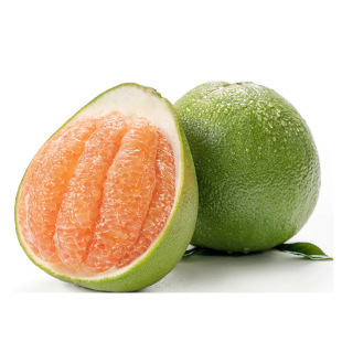 ̩������ּt�����Ӯ��������ЋDˮ�����]��Ƥ�t������һ�����l