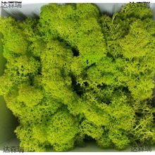 ���s�|����̦�\����ɫ��̦΢���^����̦�\ֲ�������diy������