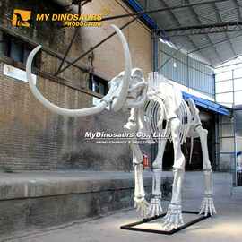 仿真猛犸象骨架化石 古生物骨架科普骨骼模型博物馆美陈展品