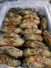 鱼类;虾类;贝类