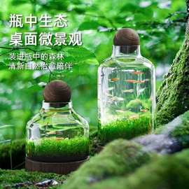 微景观生态瓶鱼缸日式自循环水培绿植鱼虾桌面创意造景免换水