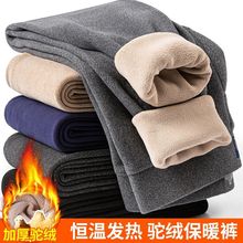 加绒冬季男士保暖羊羔绒一体加厚防寒高腰秋裤驼绒棉裤打底底裤