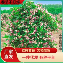 һl\Զ༾_eͥԺGL仨