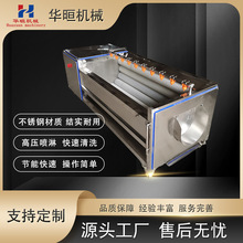 商用根茎类果蔬清洗机连续式芋头清洗设备高压喷淋去泥去杂机莲藕