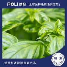 埃及进口甜罗勒精油 颇黎单方精油原料 天然芳樟醇罗勒精油批发