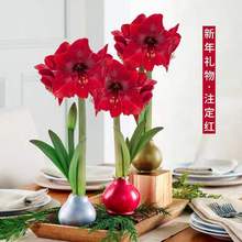 ��������Ϟ��피t�N��Y���M����������҃��boˮ�o�������_��