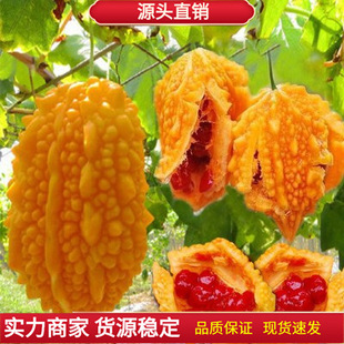 �����ه���ѽ�]�ϷN�ӷN�����ļ�����������������߲��ݰ]����