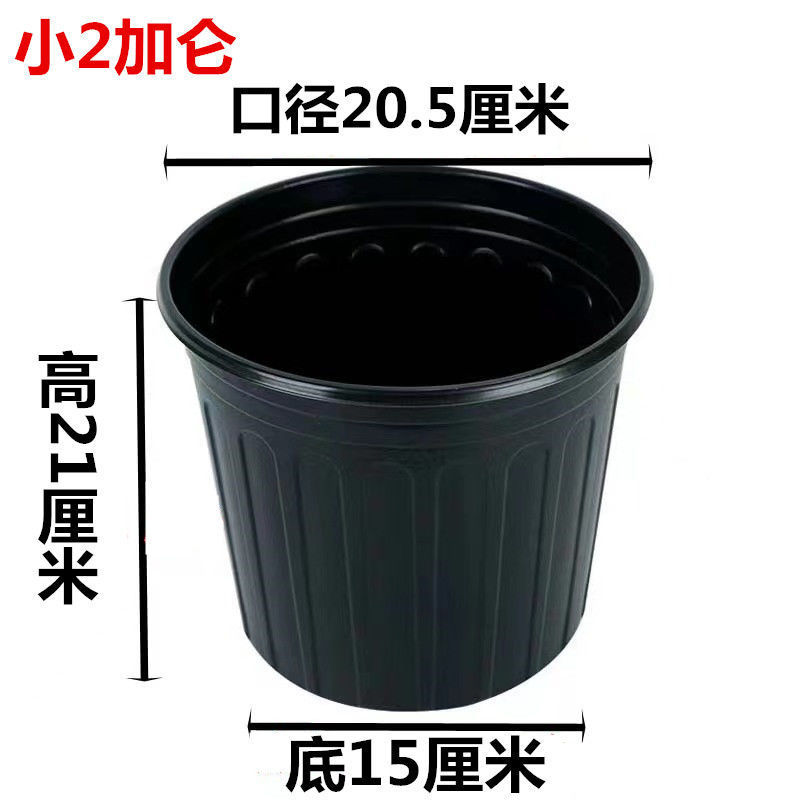 ebcd9829-41db-41a4-881c-cf0e85efd687.jpe