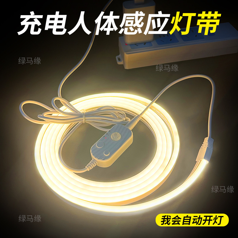 USB Plug-In Wiring-Free Sensor Light with Led Light Strip Human Body Wireless Atmosphere Smart Display Cabinet Wardrobe Bedside Lamp