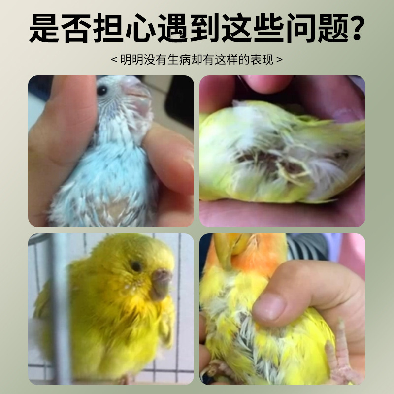 安寵勒 鳥類用 虫除け剤（ウメ、キシ、粗液体）専用、虎皮鳥、鳩の体内駆虫に最適（メーカー直販）|undefined