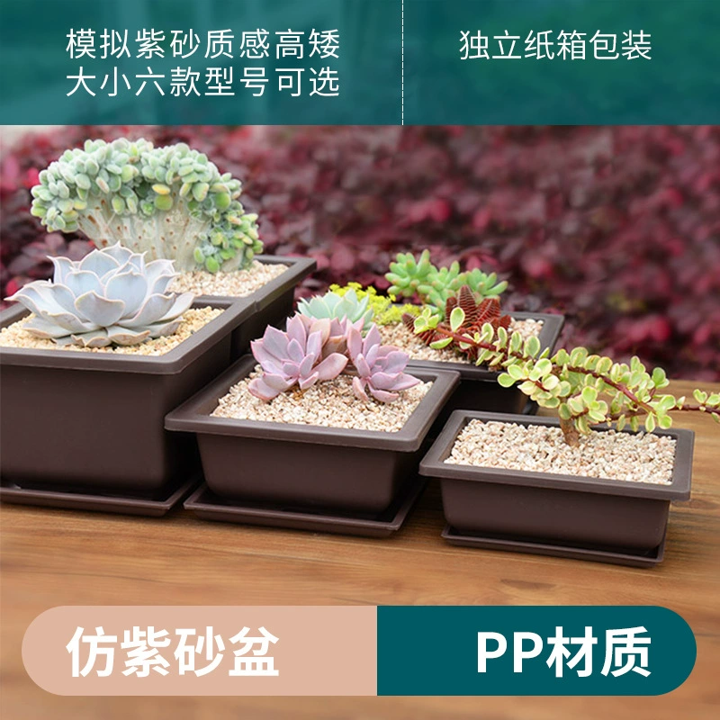 Пластиковые суккуленты в горшках прямоугольные неглубокие горшки фиолетовые песочные горшки утолщенные матовые сеялки с шасси для домашнего использования