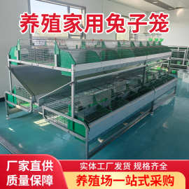 兔笼养殖笼16-18位加粗加密热镀锌免清粪子母兔笼阶梯兔子笼子