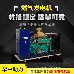全铜燃气发电机组 50千瓦沼气发电机组 家用养殖沼气发电机组