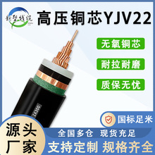 �߉�YJV22 15KV10KV�����~о��|���늾���| ��늘���| �Դ��