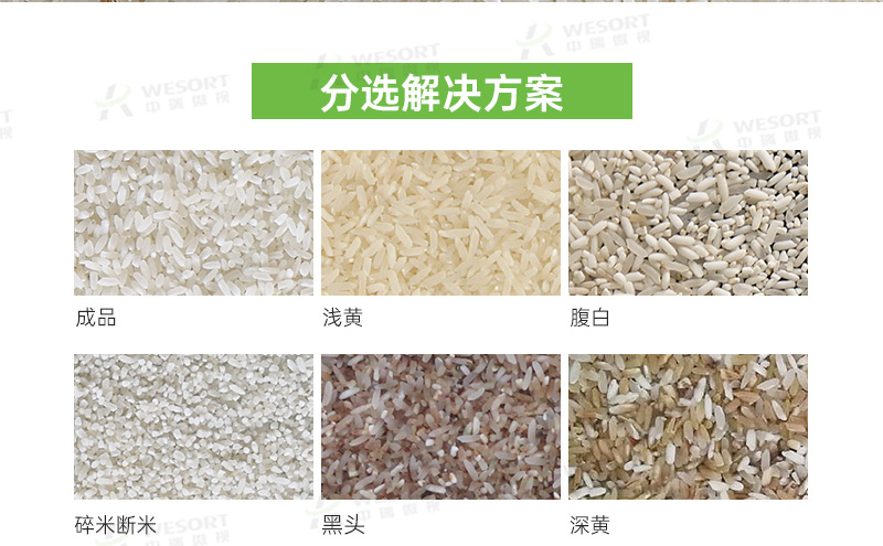 中瑞微视色选机 小型筛选设备大米选杂质精选专业智能色选机厂家-阿里巴巴