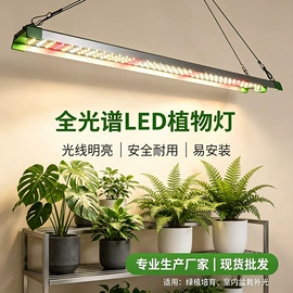 植物生长灯;灯柱灯杆;水族照明设备