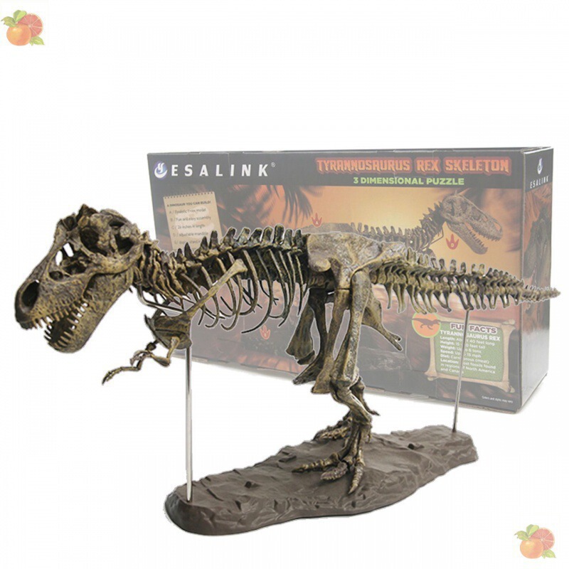 大型恐竜スケルトン装飾品スケルトンモデルジュラ紀組み立て骨格化石ドラゴンティラノサウルスレックス化石|undefined