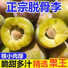 �Ĵ�Ó������t���Ӵ�t����ˮ�����������r�����ЋD�Fժ���l����