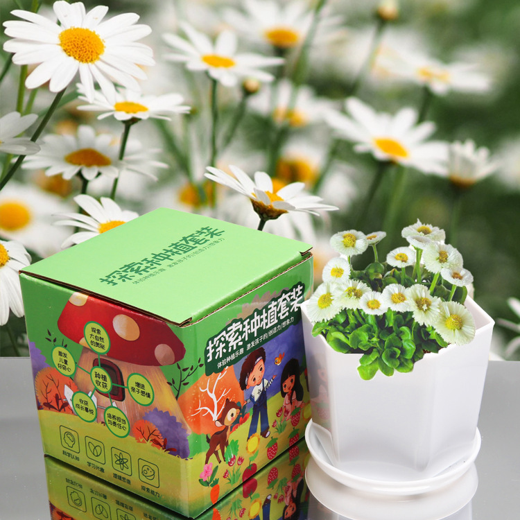 Explorar la plantación de plantas en maceta pequeñas para niños observación del crecimiento de plantas verdes pequeños experimentos creativos de los estudiantes pequeños agricultores de flores interesantes