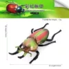 PL127-1941 Rainbow Lajia